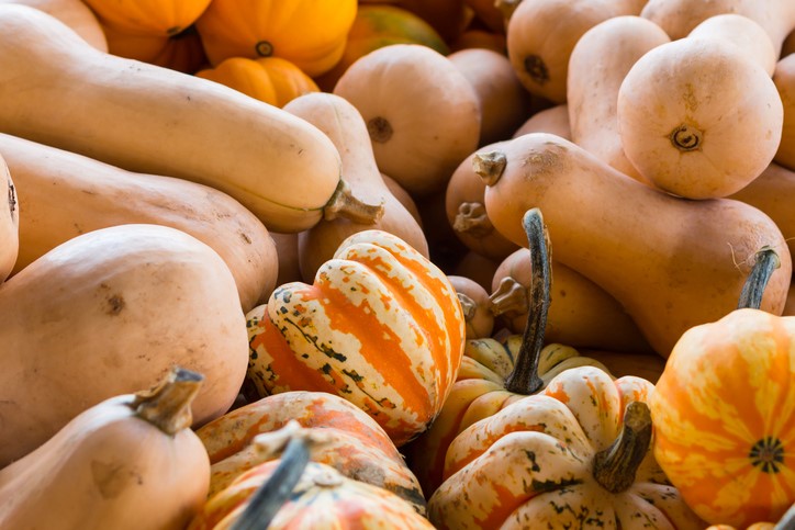 Variety of squash in a pile