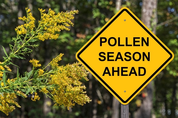 Pollen Season Ahead